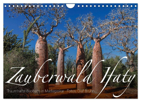 Zauberwald Ifaty · Traumhafte Baobabs in Madagaskar (Wandkalender 2027 DIN A4 quer), CALVENDO Monatskalender