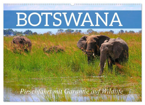 Botswana- Pirschfahrt mit Garantie auf Wildlife (Wandkalender 2027 DIN A2 quer), CALVENDO Monatskalender