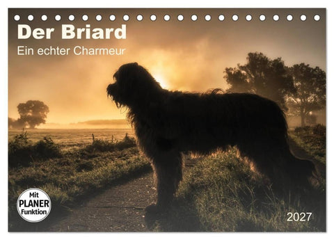 Der Briard 2027 - Ein echter Charmeur (Tischkalender 2027 DIN A5 quer), CALVENDO Monatskalender