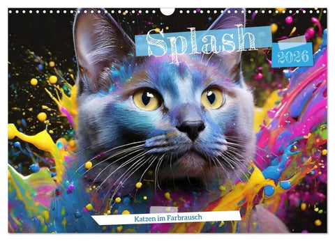 Splash - Katzen im Farbrausch (Wandkalender 2026 DIN A3 quer), CALVENDO Monatskalender