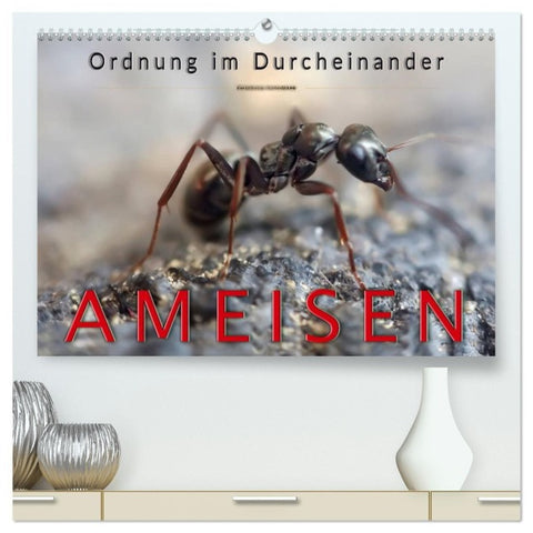 Ameisen - Ordnung im Durcheinander (hochwertiger Premium Wandkalender 2027 DIN A2 quer), Kunstdruck in Hochglanz