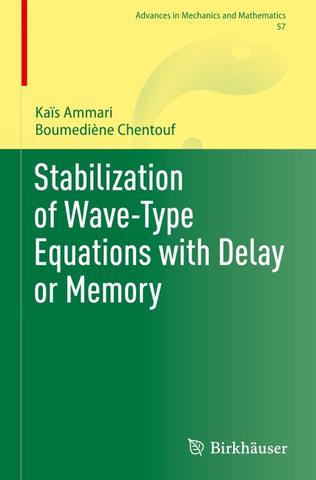 Stabilization of Wave-Type Equations with Delay or Memory