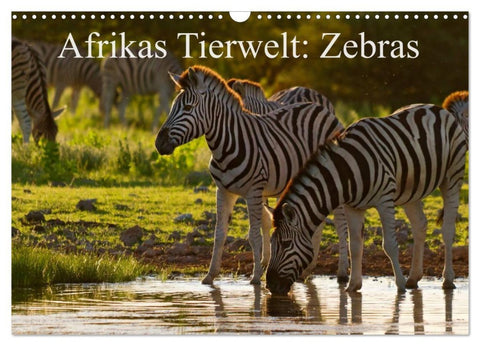 Afrikas Tierwelt: Zebras (Wandkalender 2026 DIN A3 quer), CALVENDO Monatskalender