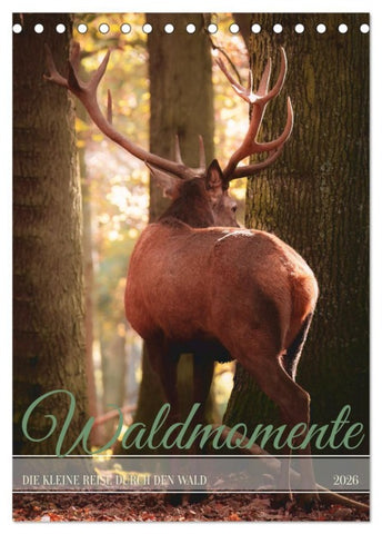 Waldmomente (Tischkalender 2026 DIN A5 hoch), CALVENDO Monatskalender