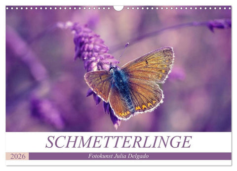 Schmetterlinge im Fokus (Wandkalender 2026 DIN A3 quer), CALVENDO Monatskalender