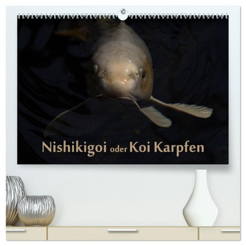 Nishikigoi oder Koi Karpfen (hochwertiger Premium Wandkalender 2026 DIN A2 quer), Kunstdruck in Hochglanz