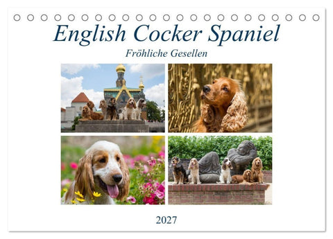 English Cocker Spaniel - Fröhliche Gesellen (Tischkalender 2027 DIN A5 quer), CALVENDO Monatskalender