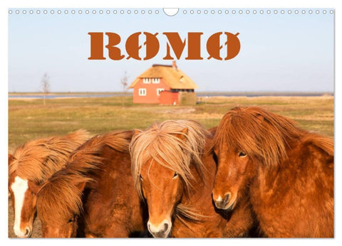 Rømø (Wandkalender 2026 DIN A3 quer), CALVENDO Monatskalender