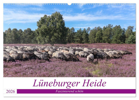 Lüneburger Heide - Faszinierend schön (Wandkalender 2026 DIN A2 quer), CALVENDO Monatskalender