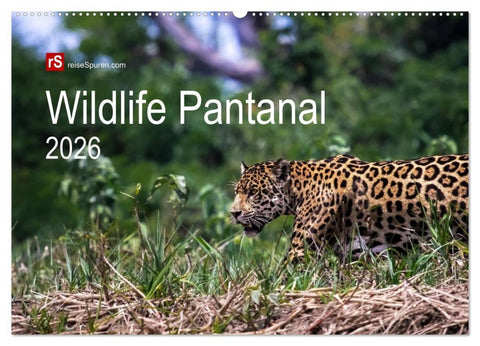 Wildlife Pantanal 2026 (Wandkalender 2026 DIN A2 quer), CALVENDO Monatskalender
