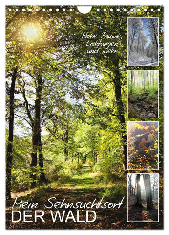 Mein Sehnsuchtsort, der Wald (Wandkalender 2027 DIN A4 hoch), CALVENDO Monatskalender