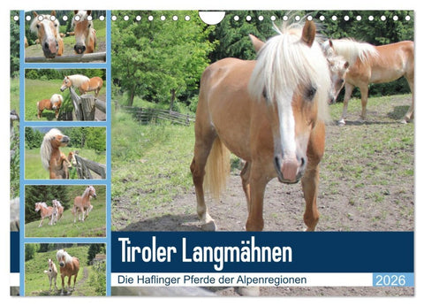 Tiroler Langmähnen (Wandkalender 2026 DIN A4 quer), CALVENDO Monatskalender