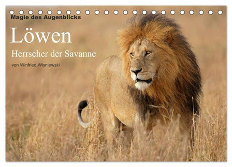 Magie des Augenblicks - Löwen - Herrscher der Savanne (Tischkalender 2027 DIN A5 quer), CALVENDO Monatskalender