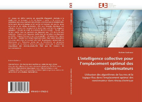 L''intelligence collective pour l''emplacement optimal des condensateurs