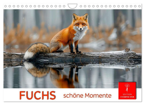 Fuchs - schöne Momente (Wandkalender 2027 DIN A4 quer), CALVENDO Monatskalender