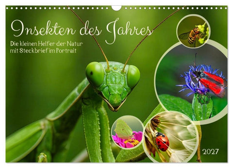 Insekt des Jahres (Wandkalender 2027 DIN A3 quer), CALVENDO Monatskalender
