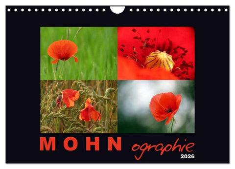 MOHNographie (Wandkalender 2026 DIN A4 quer), CALVENDO Monatskalender