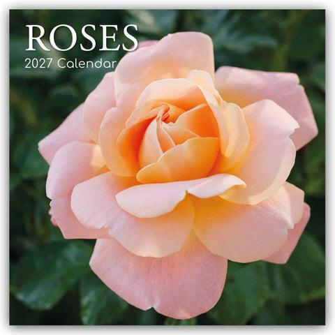 Roses – Rosen 2027 – 16-Monatskalender