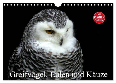 Greifvögel, Eulen und Käuze (Wandkalender 2026 DIN A4 quer), CALVENDO Monatskalender