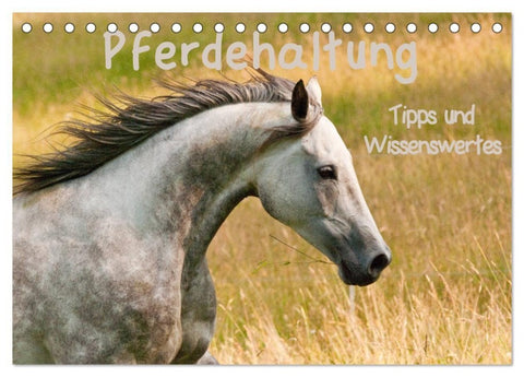 Pferdehaltung Tipps und Wissenswertes (Tischkalender 2027 DIN A5 quer), CALVENDO Monatskalender