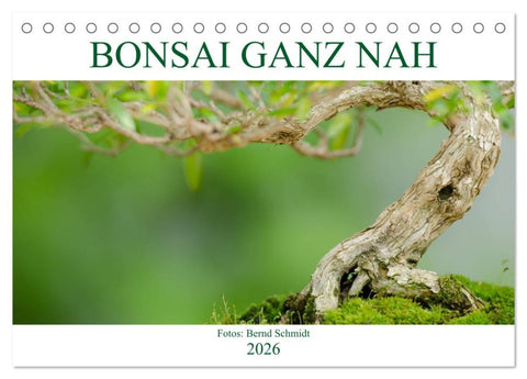 Bonsai ganz nah (Tischkalender 2026 DIN A5 quer), CALVENDO Monatskalender