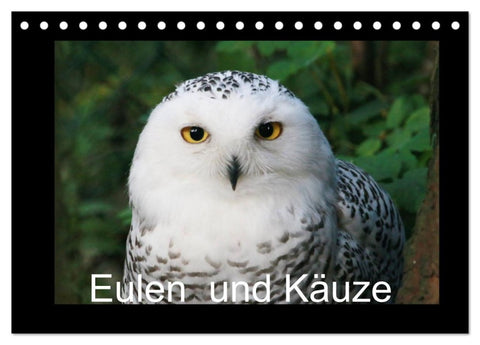 Eulen und Käuze (Tischkalender 2026 DIN A5 quer), CALVENDO Monatskalender