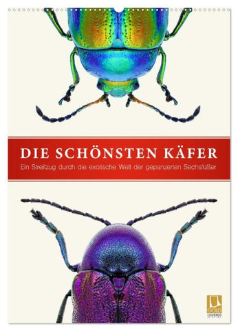 Die schönsten Käfer (Wandkalender 2027 DIN A2 hoch), CALVENDO Monatskalender