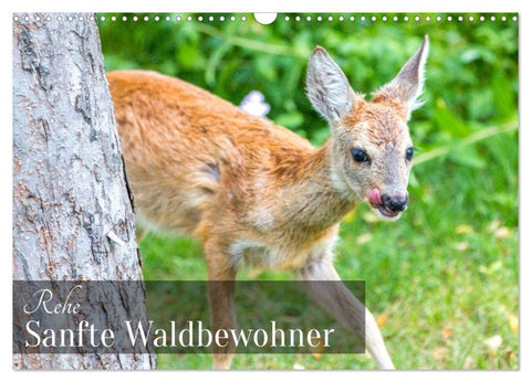 Rehe - Sanfte Waldbewohner (Wandkalender 2027 DIN A3 quer), CALVENDO Monatskalender