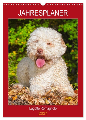 Jahresplaner Lagotto Romagnolo (Wandkalender 2027 DIN A3 hoch), CALVENDO Monatskalender