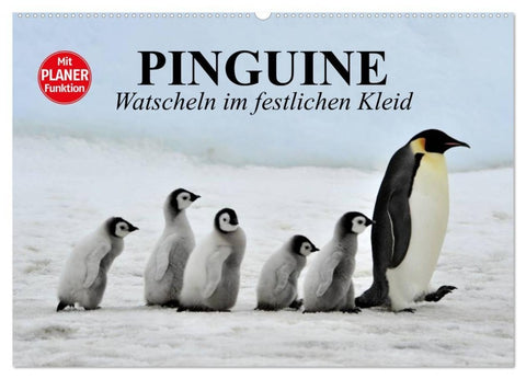 Pinguine - Watscheln im festlichen Kleid (Wandkalender 2027 DIN A2 quer), CALVENDO Monatskalender