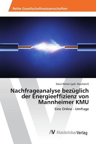 Nachfrageanalyse bezüglich der Energieeffizienz von Mannheimer KMU