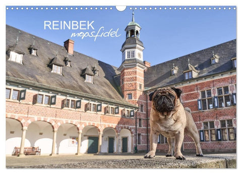 Reinbek mopsfidel (Wandkalender 2027 DIN A3 quer), CALVENDO Monatskalender