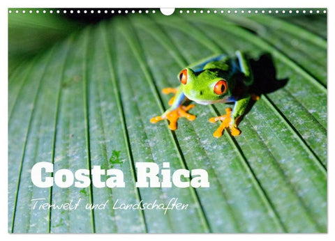 Costa Rica - Tierwelt und Landschaften (Wandkalender 2027 DIN A3 quer), CALVENDO Monatskalender
