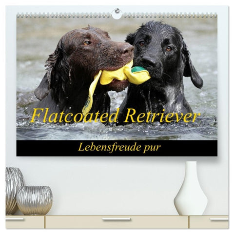 Flatcoated Retriever (hochwertiger Premium Wandkalender 2026 DIN A2 quer), Kunstdruck in Hochglanz