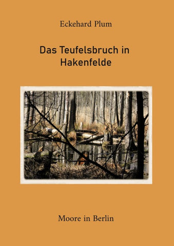 Das Teufelsbruch in Hakenfelde