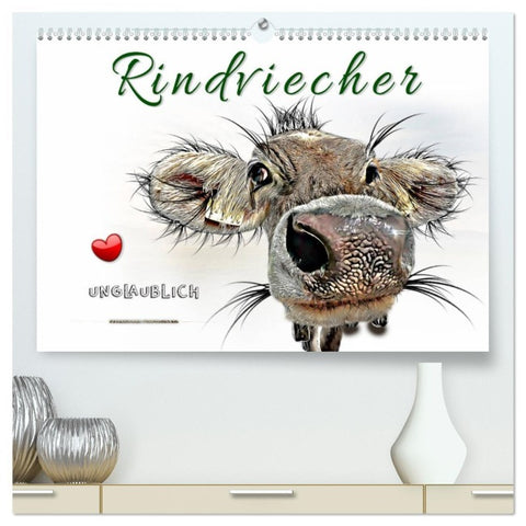 Rindviecher unglaublich (hochwertiger Premium Wandkalender 2026 DIN A2 quer), Kunstdruck in Hochglanz