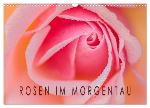 Rosen im Morgentau (Wandkalender 2026 DIN A3 quer), CALVENDO Monatskalender