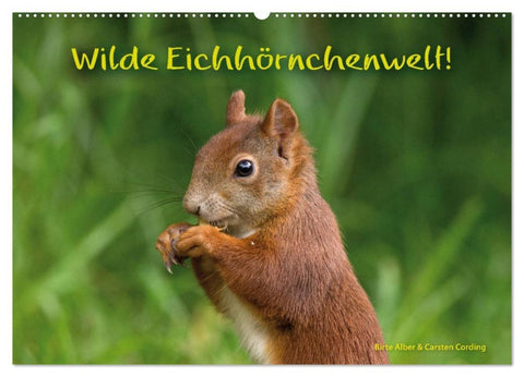 Wilde Eichhörnchenwelt! (Wandkalender 2026 DIN A2 quer), CALVENDO Monatskalender