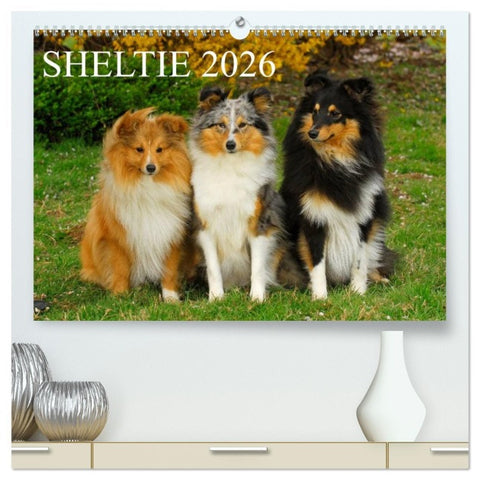 Sheltie 2026 (hochwertiger Premium Wandkalender 2026 DIN A2 quer), Kunstdruck in Hochglanz
