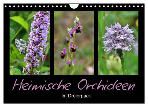 Heimische Orchideen im Dreierpack (Wandkalender 2027 DIN A4 quer), CALVENDO Monatskalender