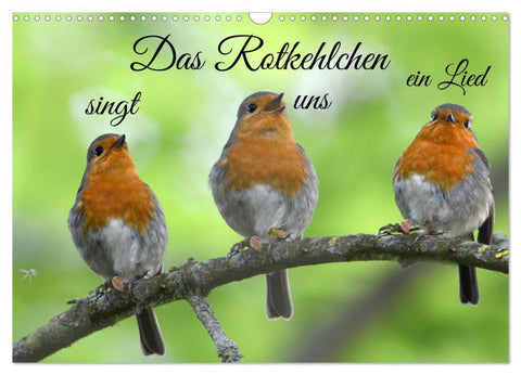 Das Rotkehlchen singt uns ein Lied (Wandkalender 2026 DIN A3 quer), CALVENDO Monatskalender