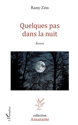 Quelques pas dans la nuit