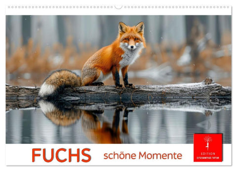 Fuchs - schöne Momente (Wandkalender 2026 DIN A2 quer), CALVENDO Monatskalender