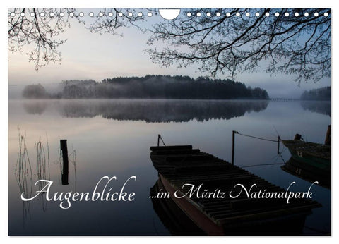 Augenblicke im Müritz Nationalpark (Wandkalender 2026 DIN A4 quer), CALVENDO Monatskalender