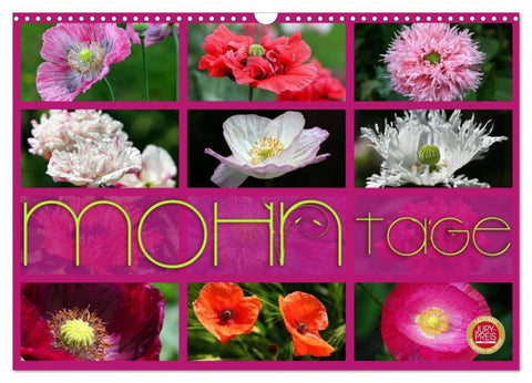 Mohn Tage (Wandkalender 2027 DIN A3 quer), CALVENDO Monatskalender