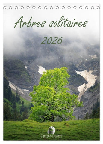 Arbres solitaires (Calendrier de bureau 2026 DIN A5 horizontal), CALVENDO calendrier mensuel