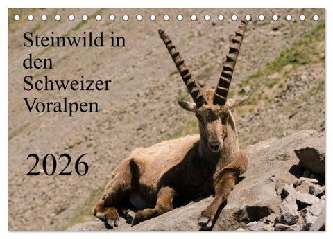 Steinwild in den Schweizer Voralpen (Tischkalender 2026 DIN A5 quer), CALVENDO Monatskalender