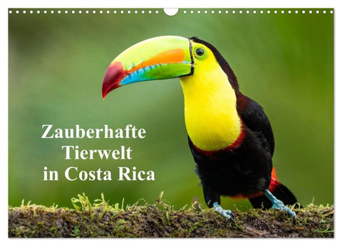 Zauberhaft Tierwelt in Costa Rica (Wandkalender 2027 DIN A3 quer), CALVENDO Monatskalender