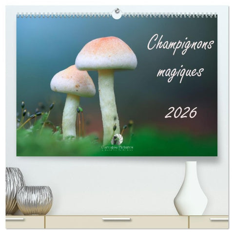 Champignons magiques (Calendrier mural haut de gamme 2027 DIN A2 vertical), CALVENDO calendrier mensuel