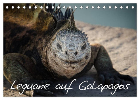 Leguane auf Galapagos (Tischkalender 2027 DIN A5 quer), CALVENDO Monatskalender